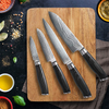 Premium double bloster Damascus Kitchen Knife Set
